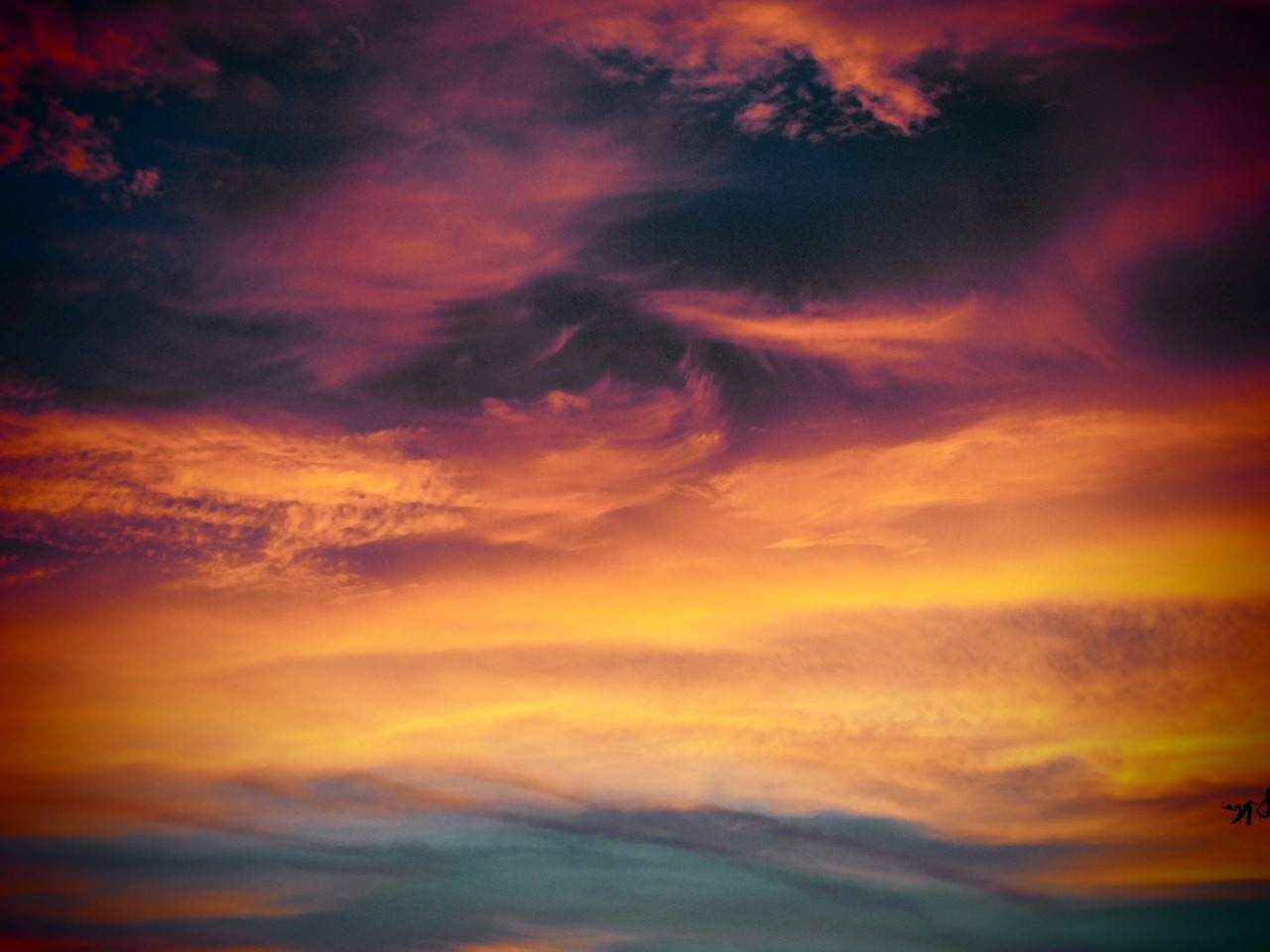 DDOS网页端|怎么注册猫和老鼠游戏账号