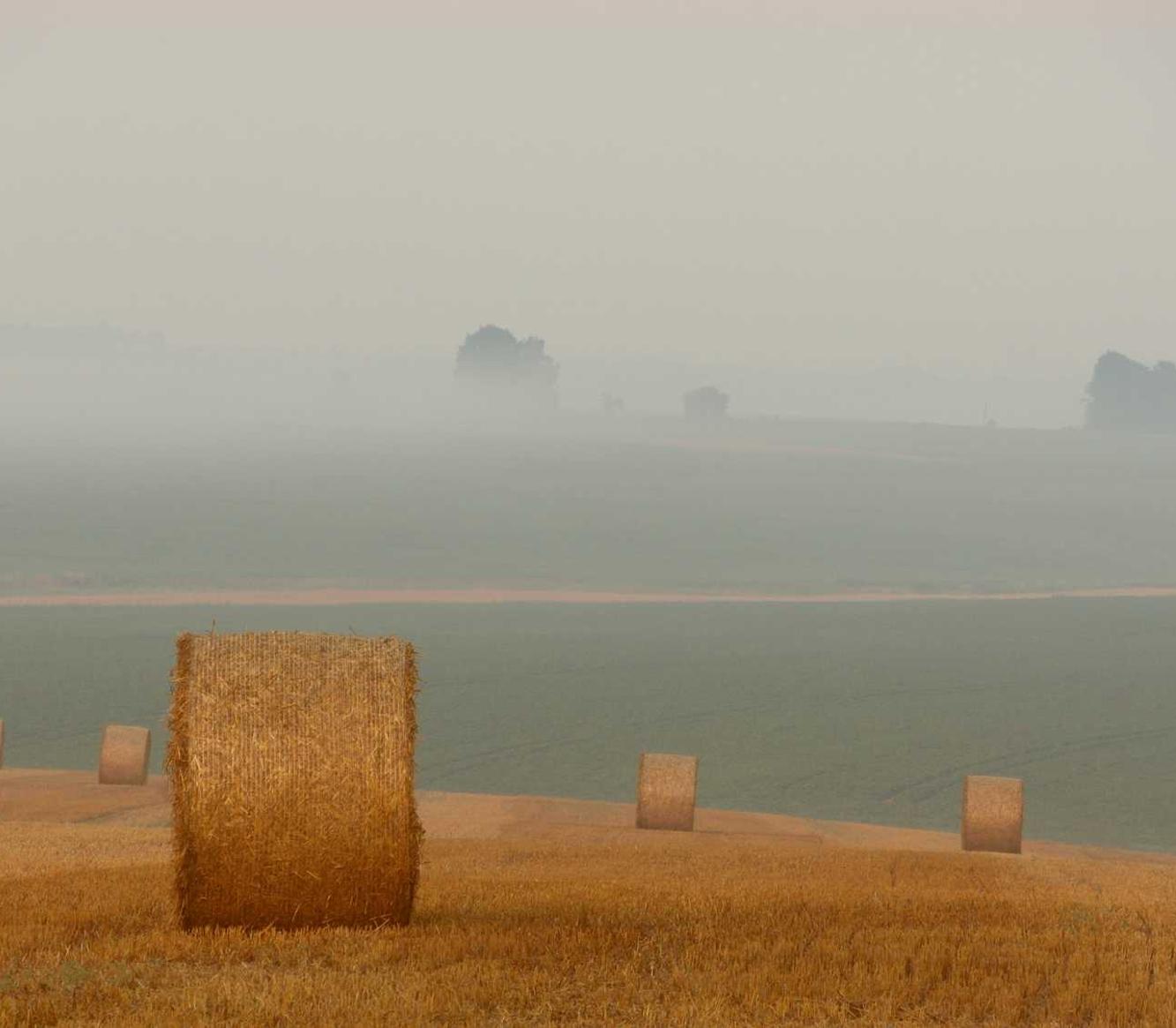 咸鱼实名账号:短信营销如何实现个性化推广?