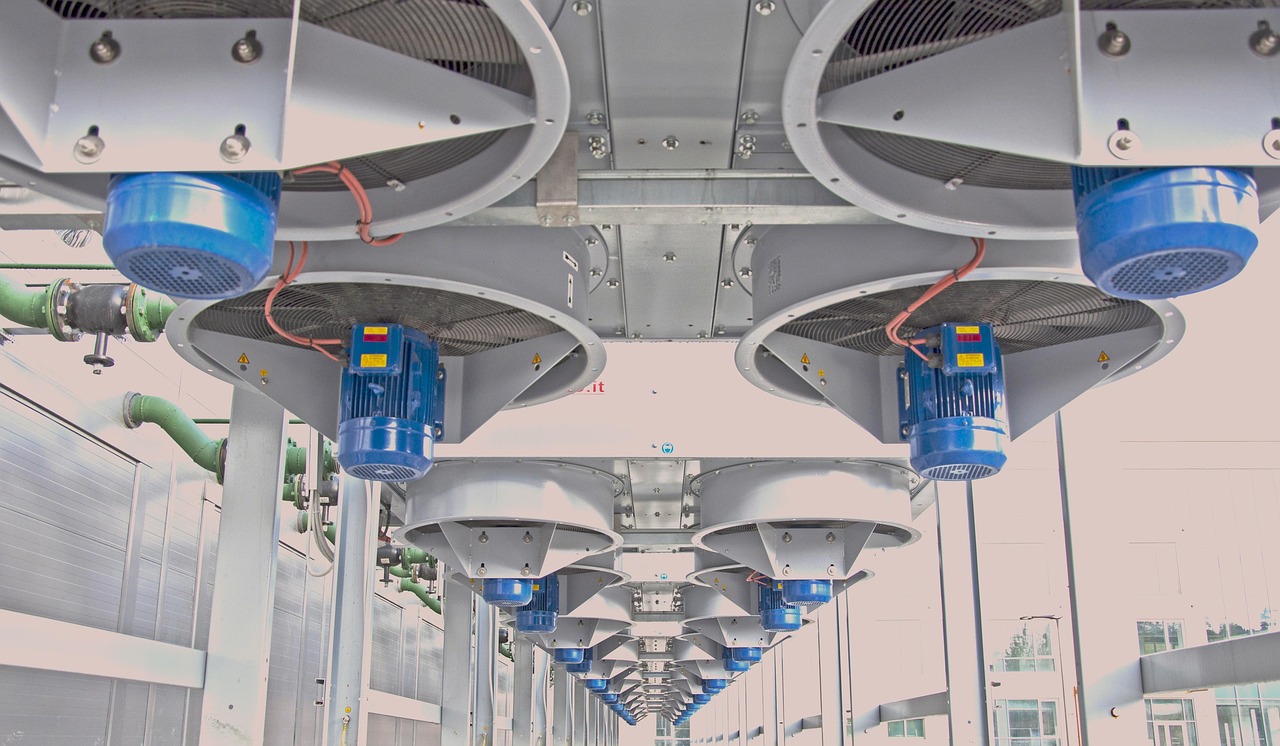 西游女儿国：阳光水岸app详情下载教程