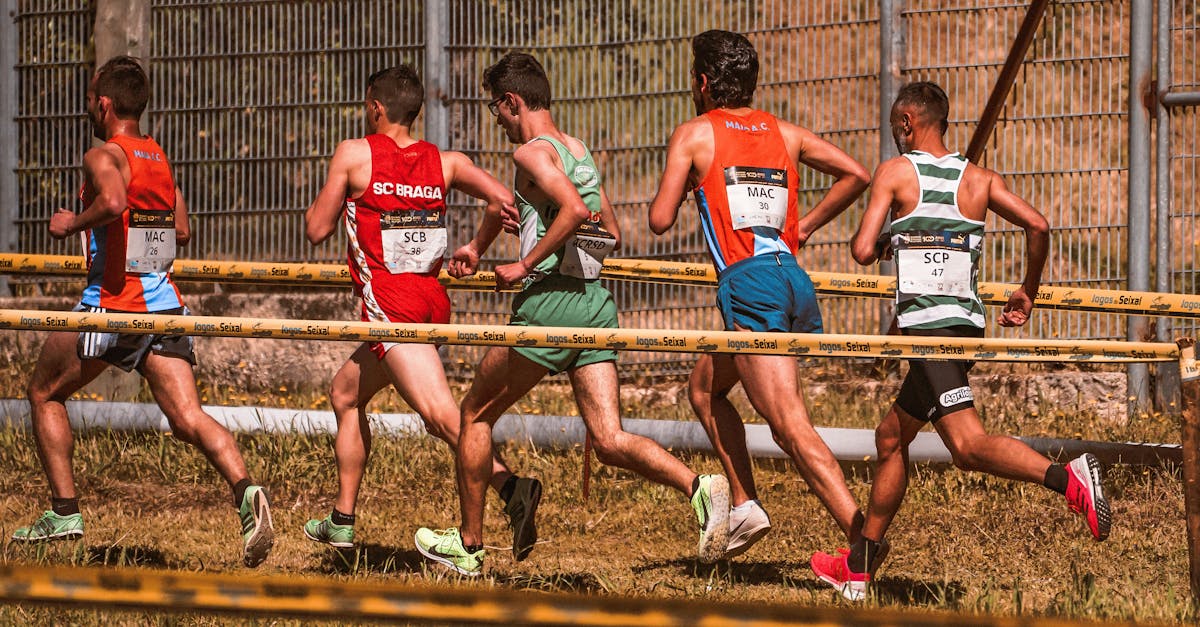 魔方云实名账号：卡洛塔妮门店app详情下载教程