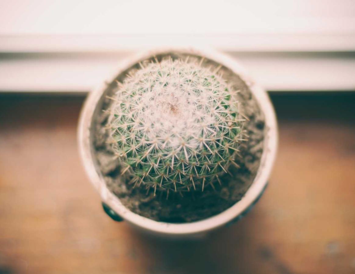 百度实名账号：射击游戏平台代理